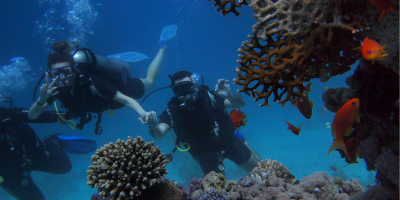 Grande Island Scuba Diving A Spectacular Adventure in Goa